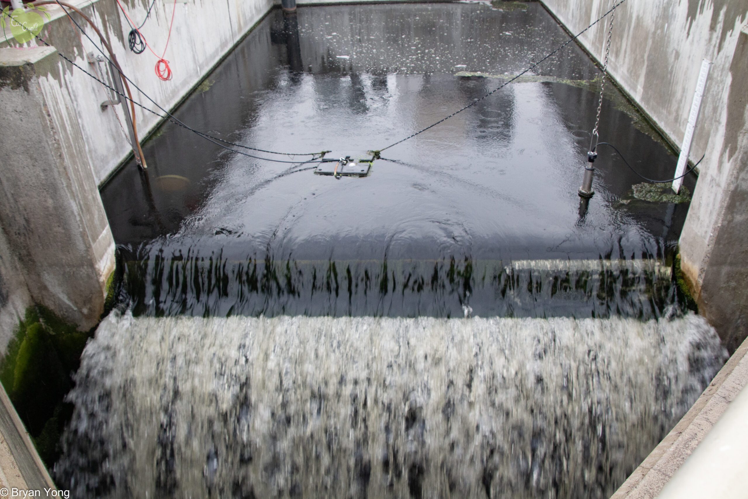 Treated water is being stored for release. River water levels are carefully monitored before releasing the water.
