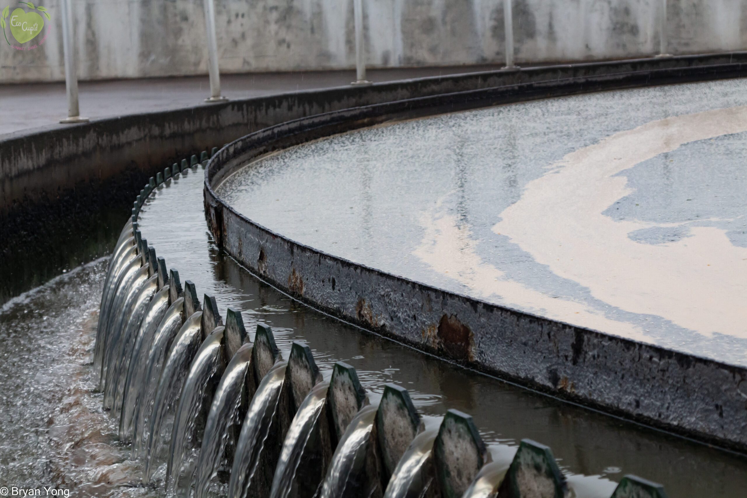 Wastewater that passed through coarse mesh filters is being fed into a finer physical filter.