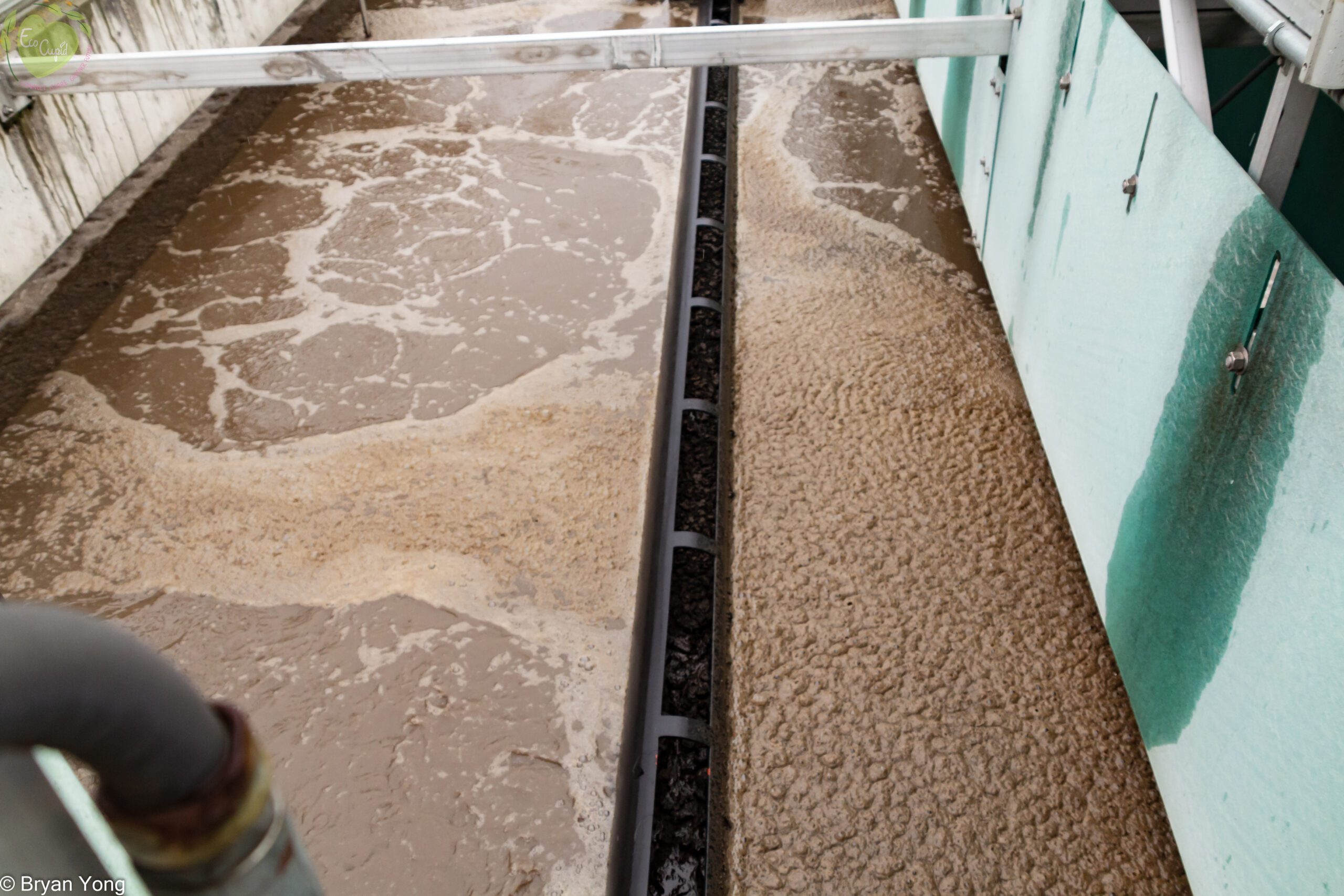 Biosolid residue removed from the wastewater is turned into compost heaps right behind the anaerobic digestion tanks.