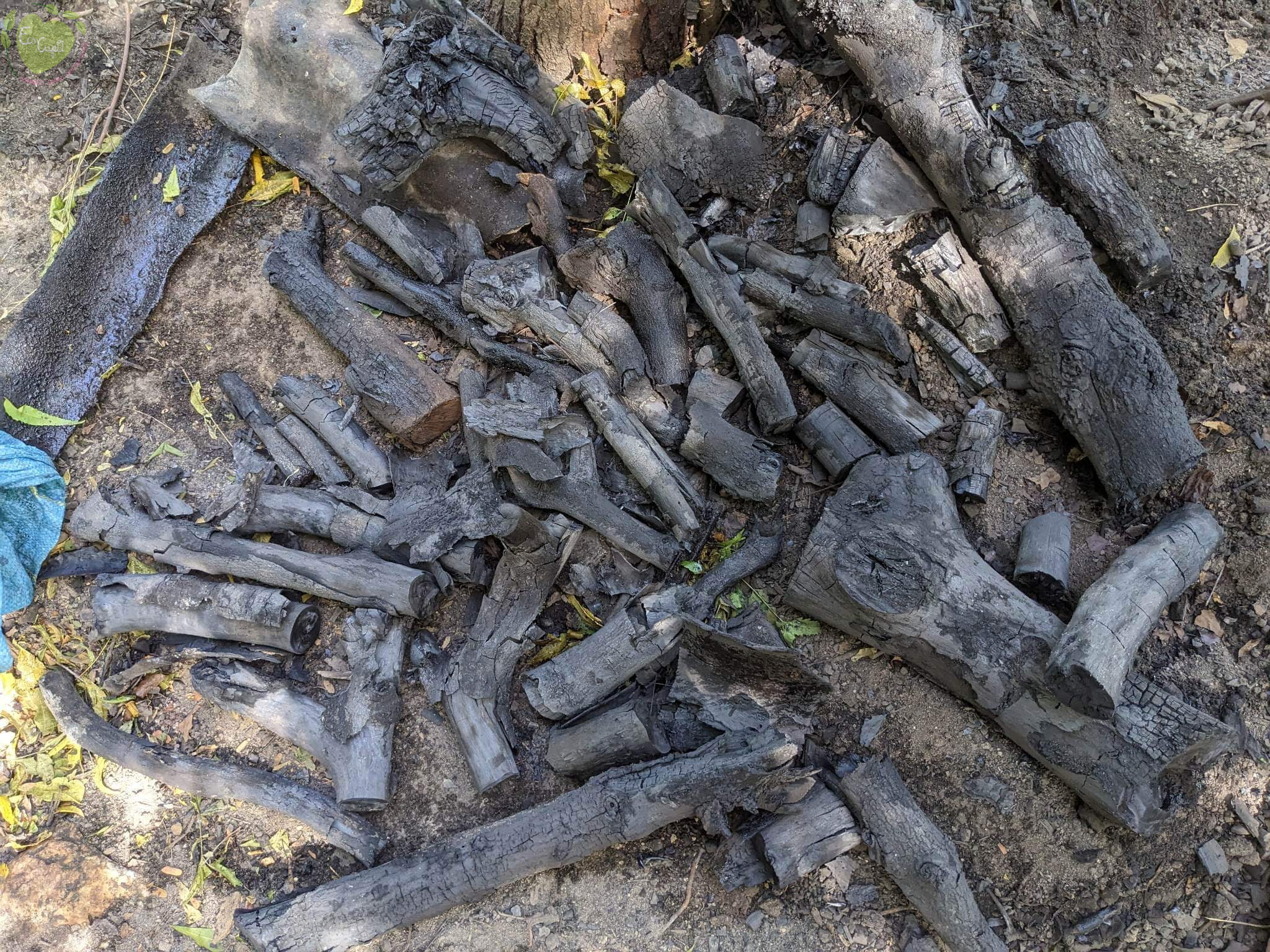 The beautiful charcoal from the pit still keeps its original shape. (huy)