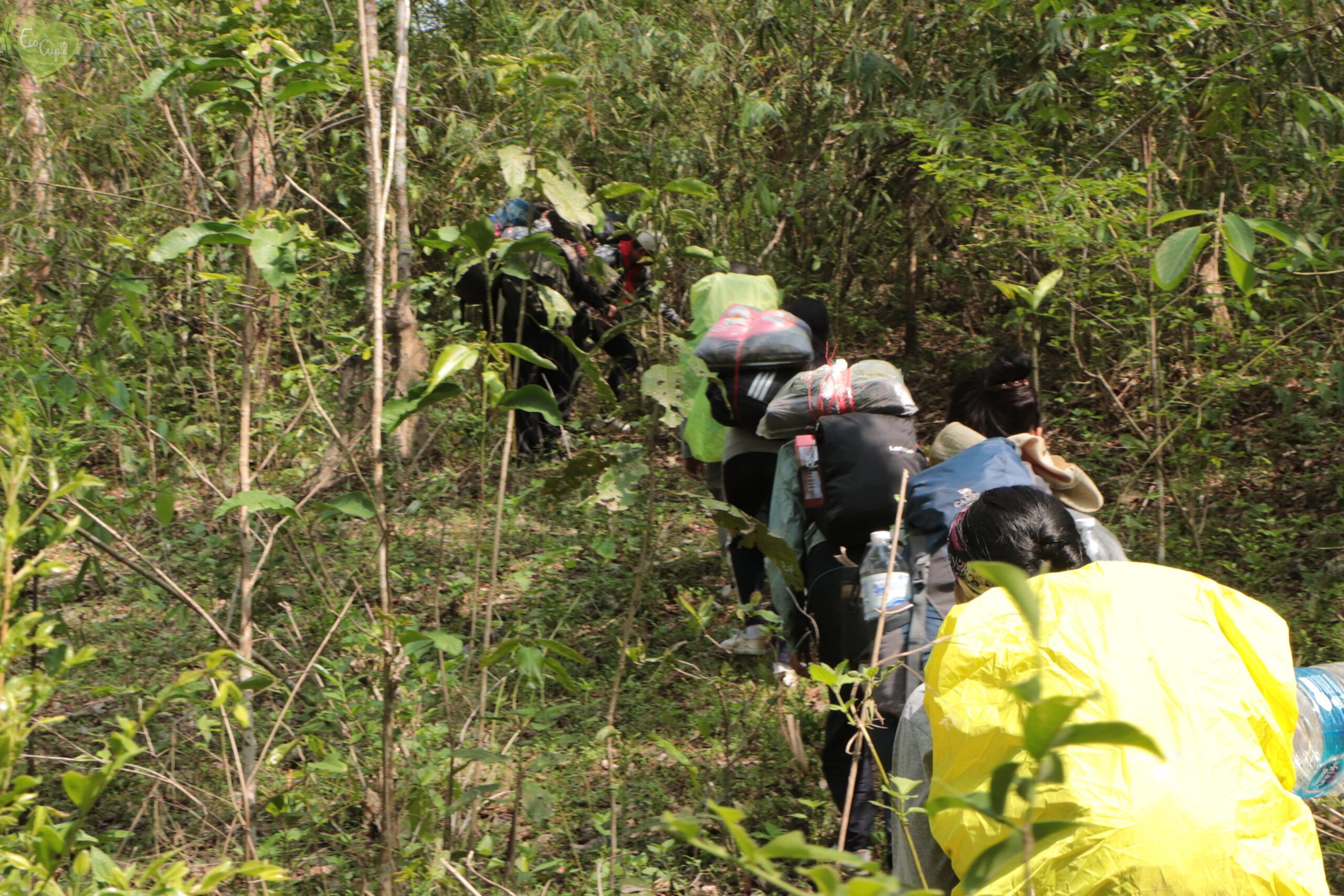 Youths are hiking in the Nature Interpreter Club at Mae-Toen Mae-Taeng forest in Chiang Mai. Photo Courtesy of the TCFN.
