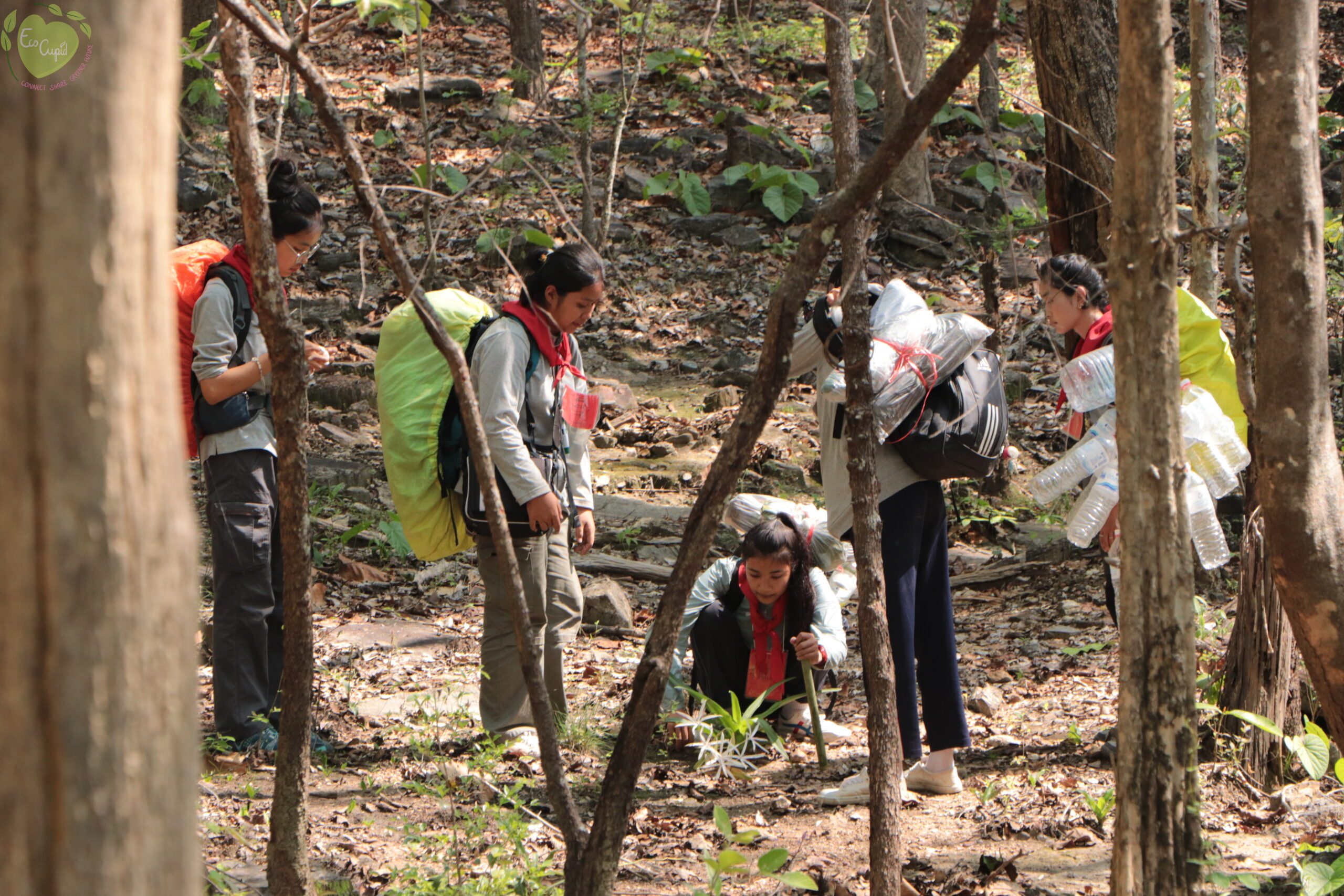 Youth campers learn about various plants in the forest ecosystem. Photo Courtesy of the TCFN.