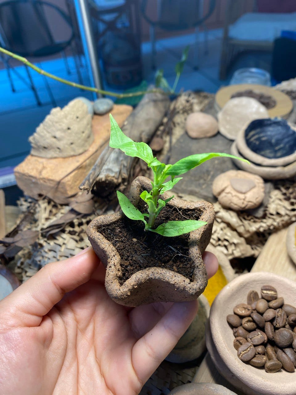 A ferticlay plant pot made by a workshop participant. Photo courtesy of Jodie Monteiro-Ferticlay.