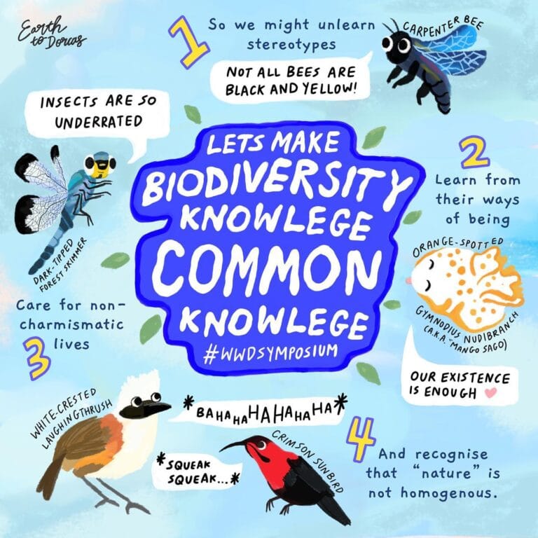 Colourful infographics on conscious shopping and local Singaporean biodiversity helped Dorcas grow her following during the pandemic. Artwork courtesy of Earth to Dorcas.