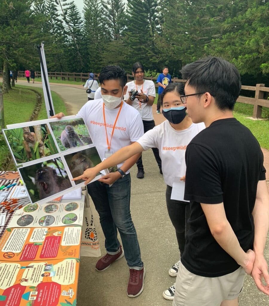 Volunteers break down macaque behaviour for curious parkgoers at their outdoor awareness booth. Photo courtesy of Animal Neighbours Project.